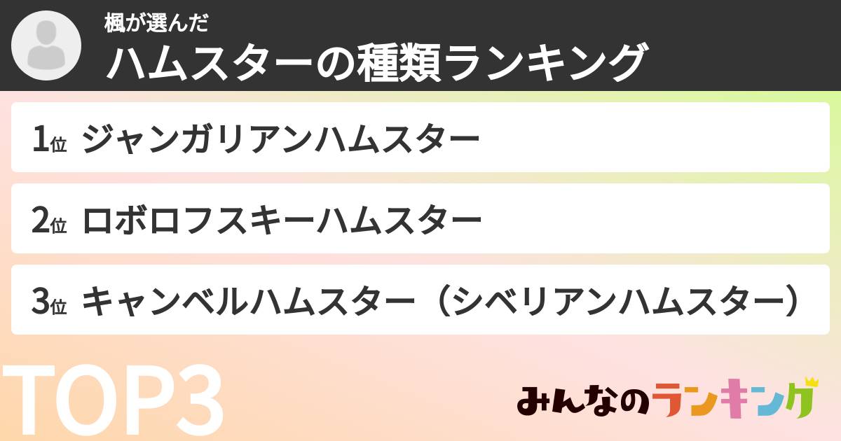 楓さんの「ハムスターの種類ランキング」