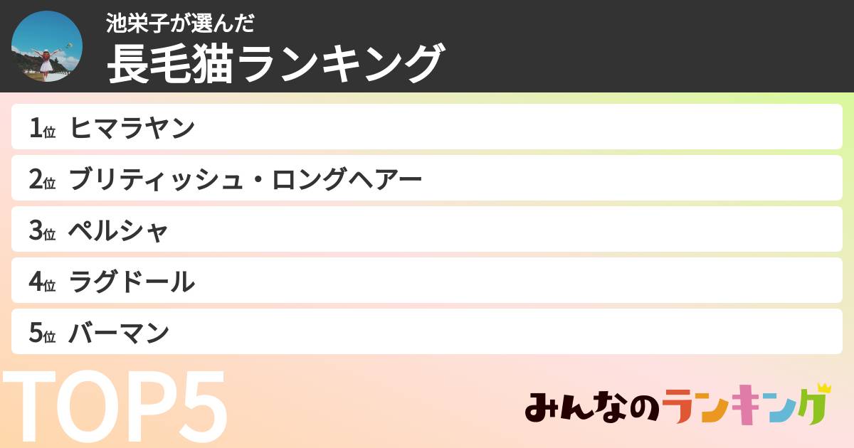 池栄子さんの「長毛猫ランキング」