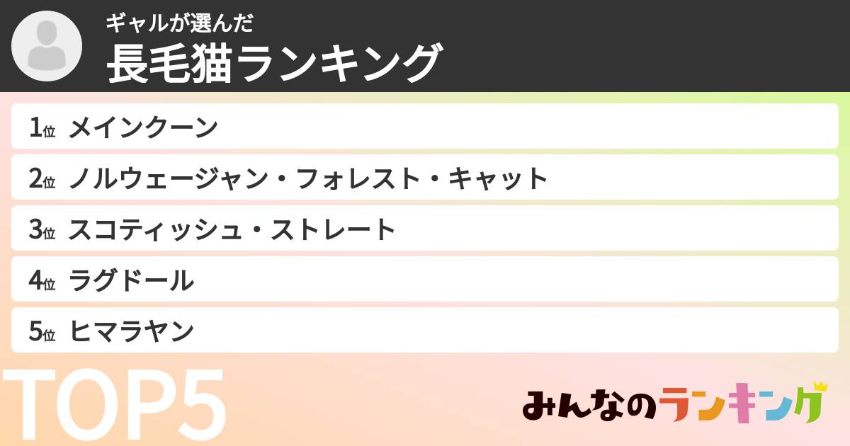 ギャルさんの「長毛猫ランキング」