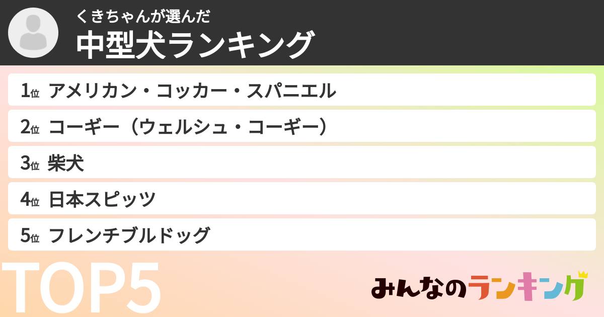 くきちゃんさんの「中型犬ランキング」
