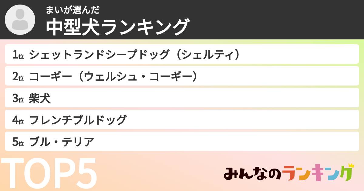 まいさんの「中型犬ランキング」