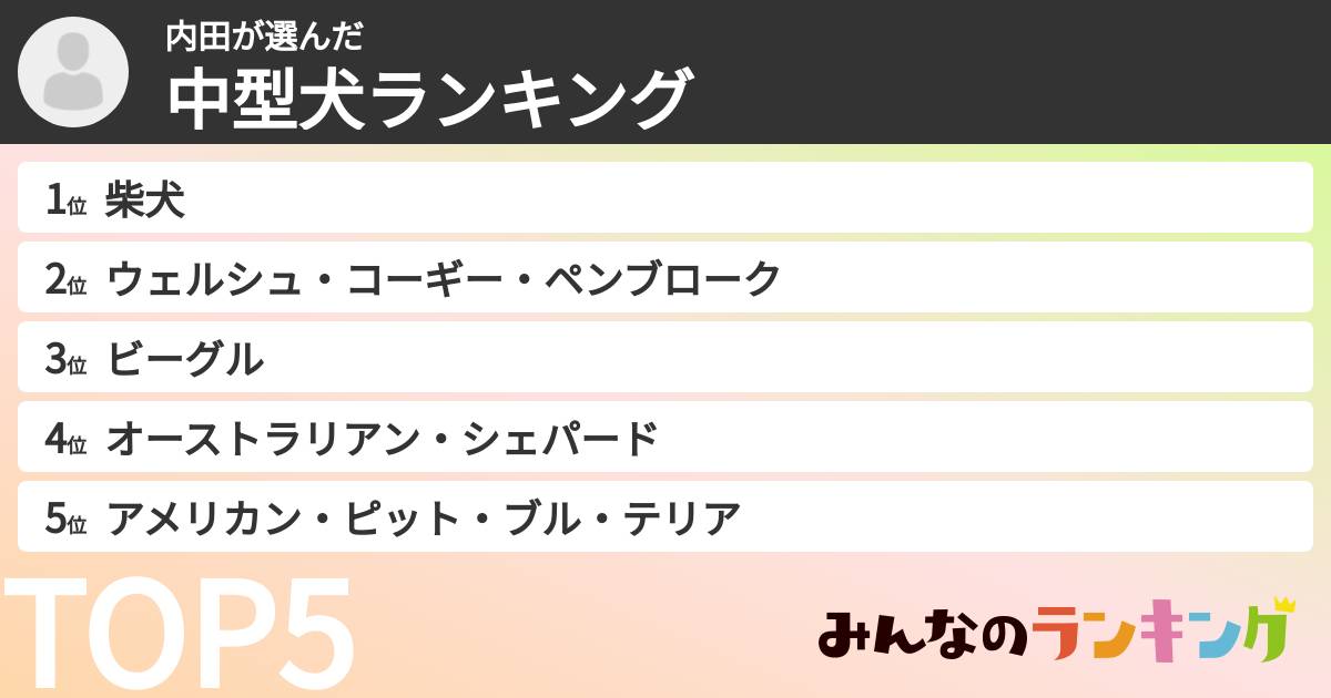 内田さんの「中型犬ランキング」