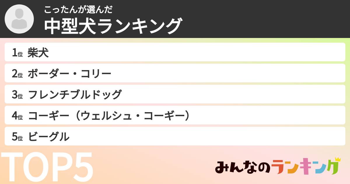 こったんさんの「中型犬ランキング」