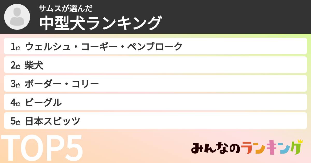サムスさんの「中型犬ランキング」