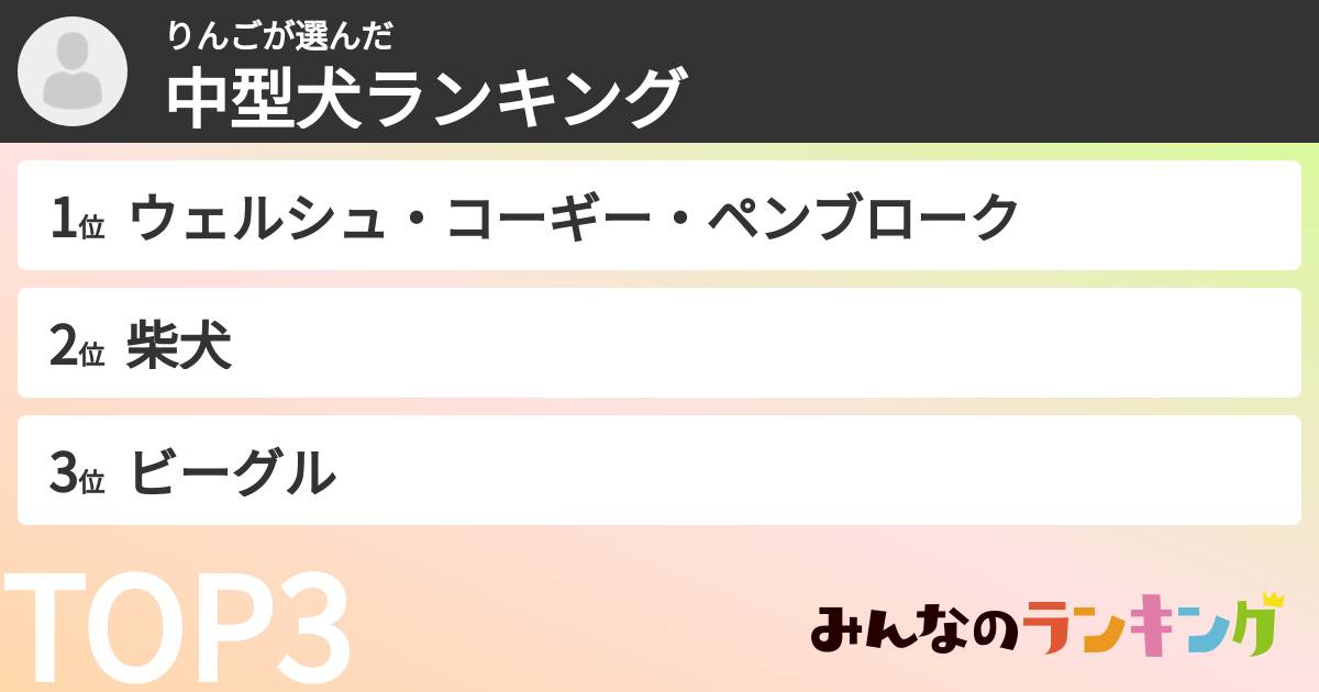 りんごさんの「中型犬ランキング」
