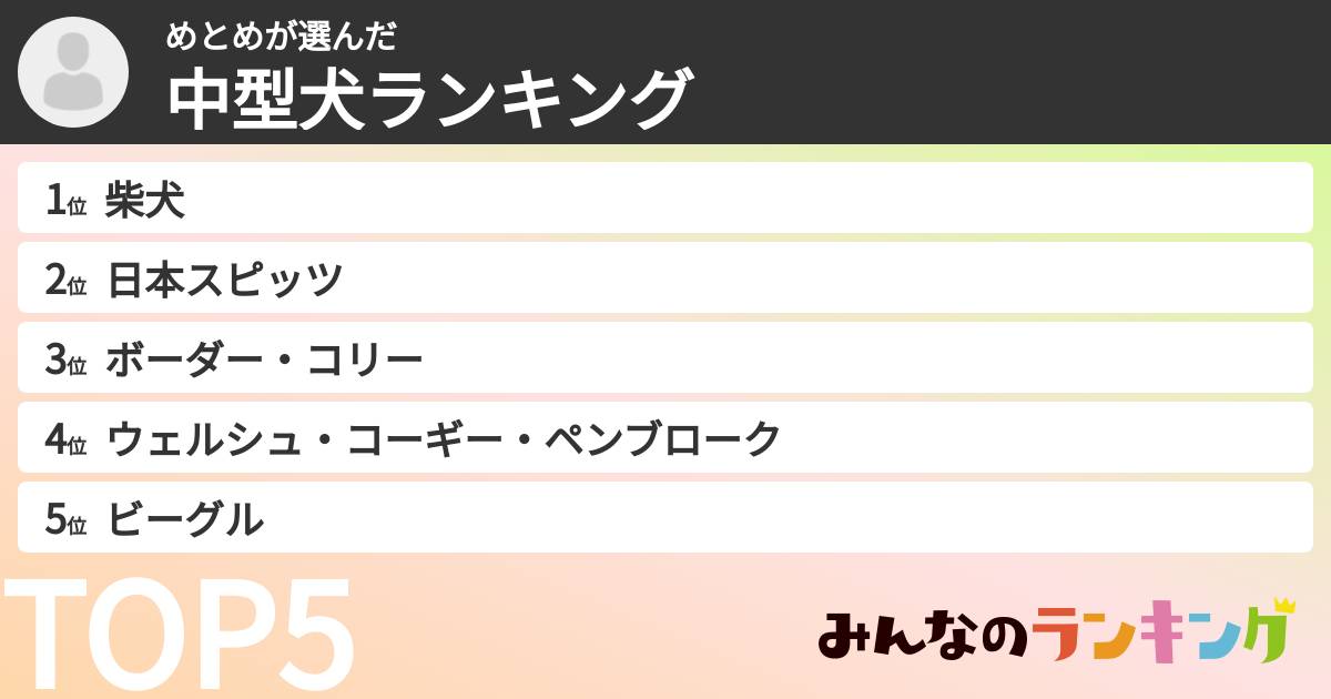 めとめさんの「中型犬ランキング」