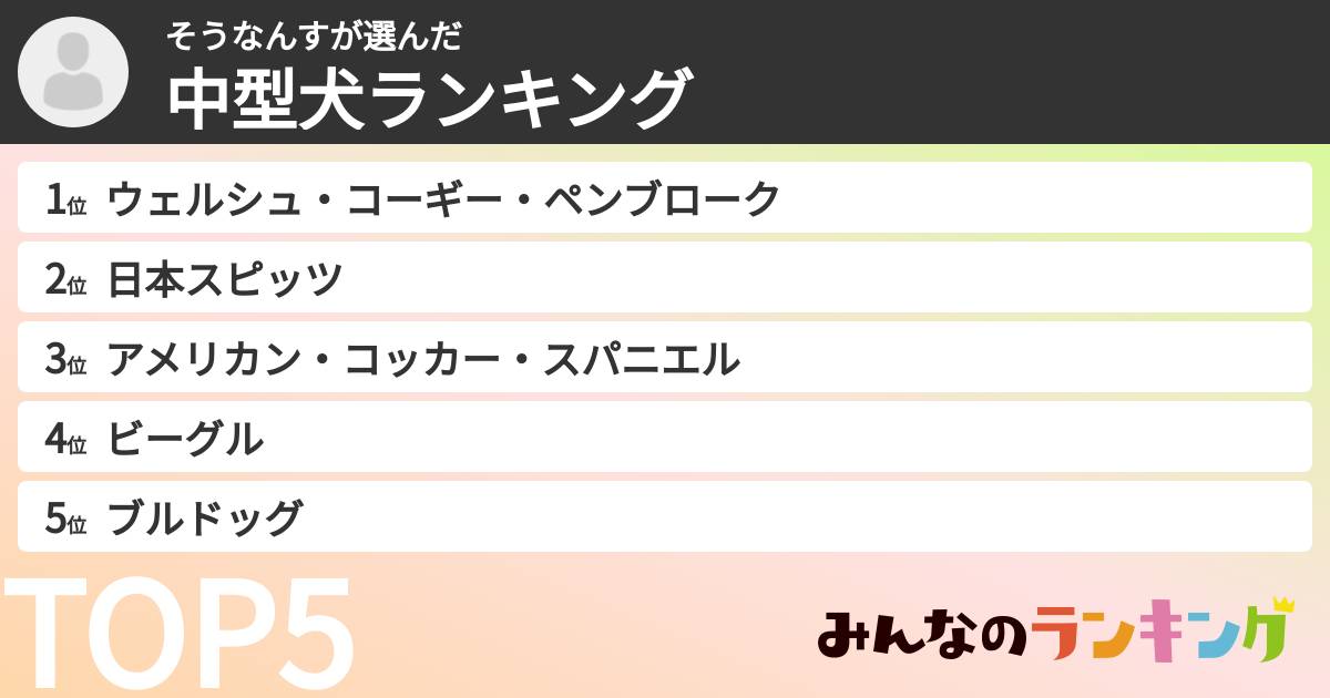 そうなんすさんの「中型犬ランキング」