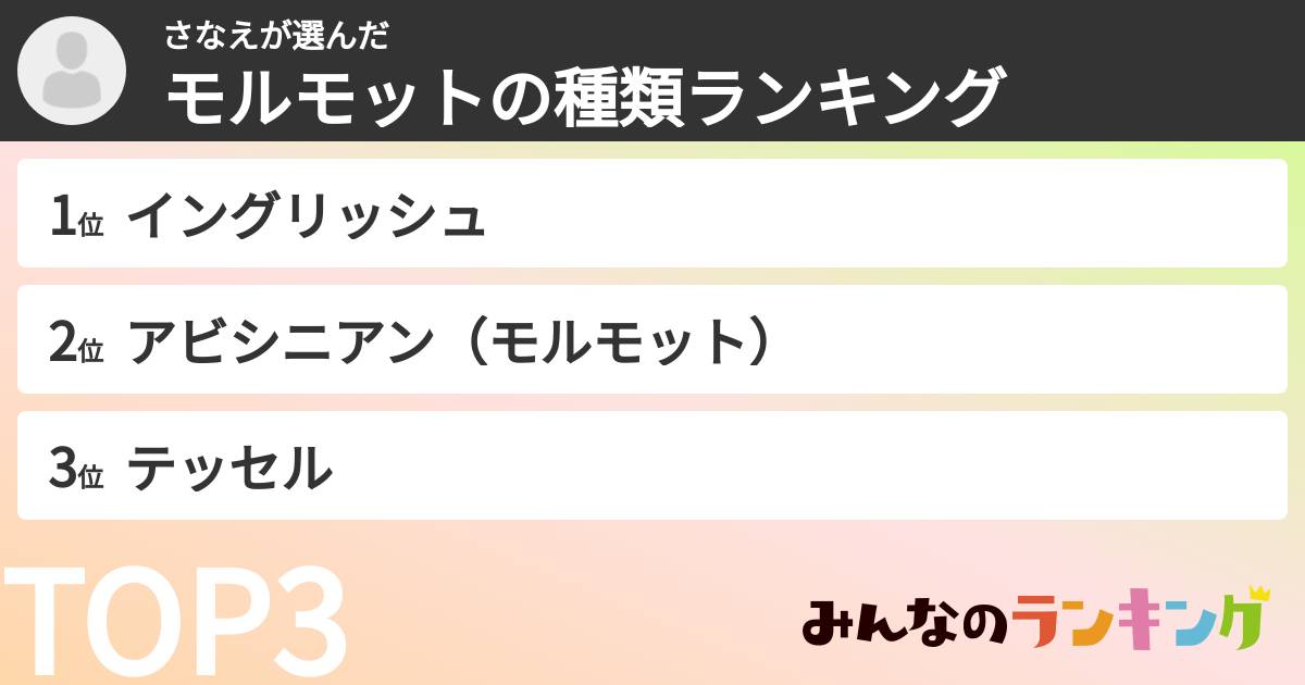 さなえさんの「モルモットの種類ランキング」
