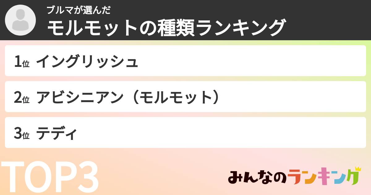 ブルマさんの「モルモットの種類ランキング」