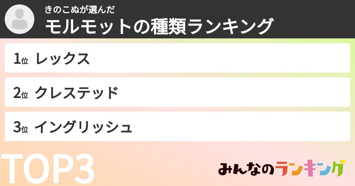 きのこぬさんの「モルモットの種類ランキング」