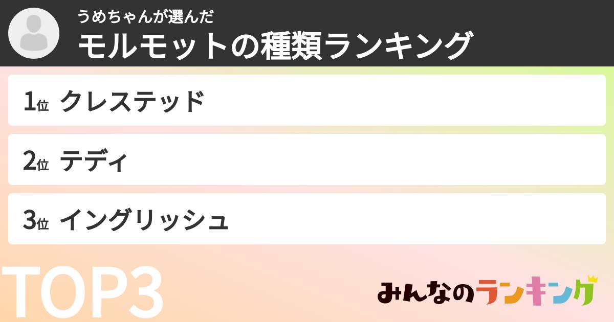 うめちゃんさんの「モルモットの種類ランキング」