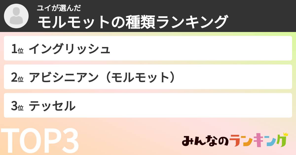 ユイさんの「モルモットの種類ランキング」