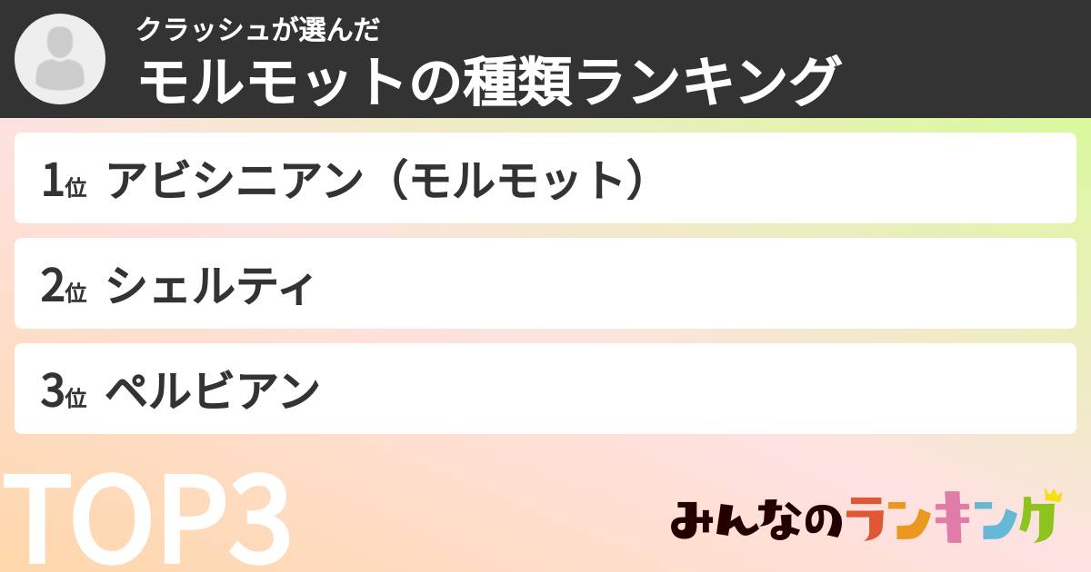 クラッシュさんの「モルモットの種類ランキング」
