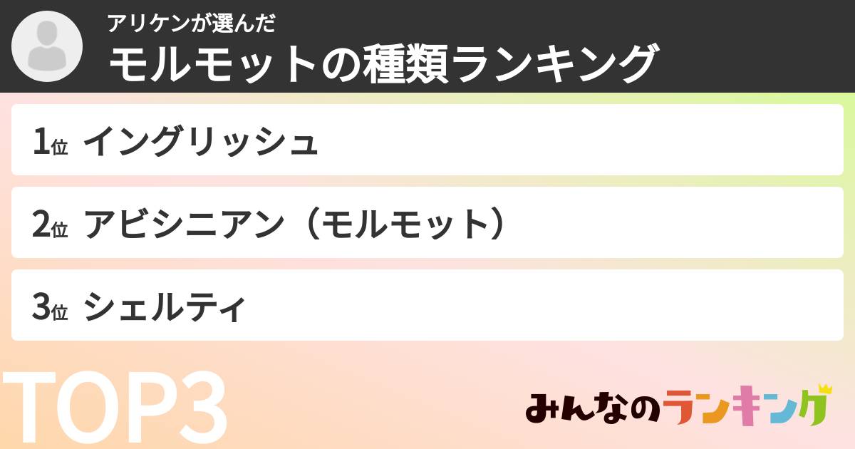 アリケンさんの「モルモットの種類ランキング」