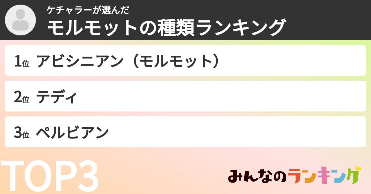 ケチャラーさんの「モルモットの種類ランキング」