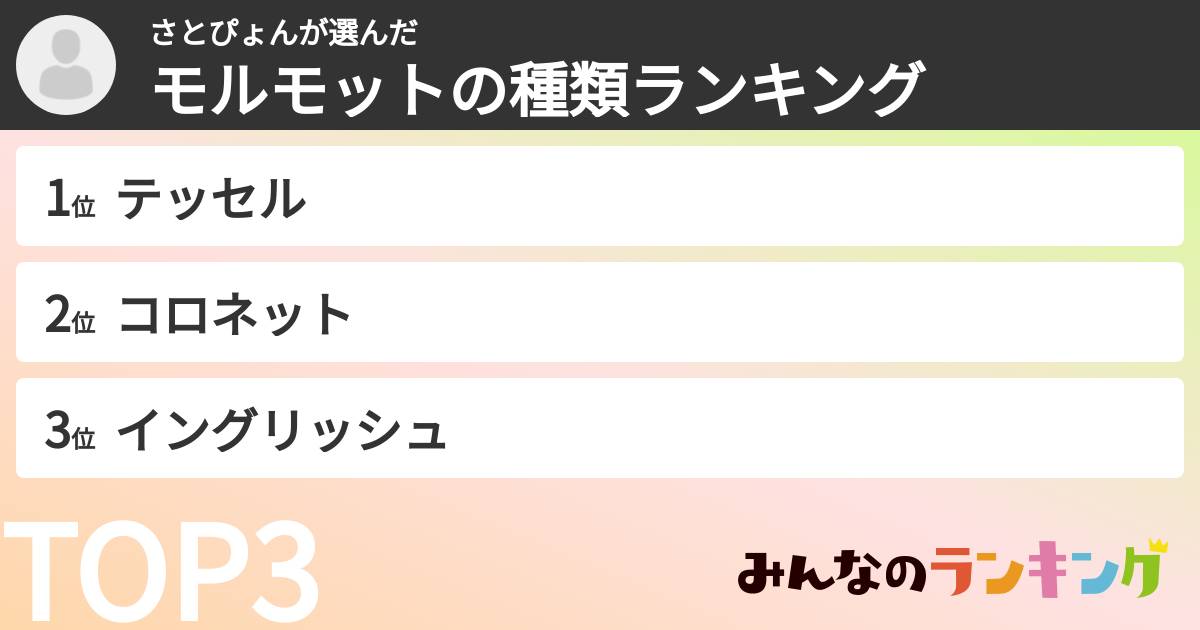 さとぴょんさんの「モルモットの種類ランキング」