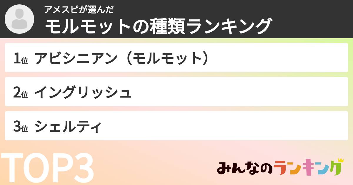 アメスピさんの「モルモットの種類ランキング」