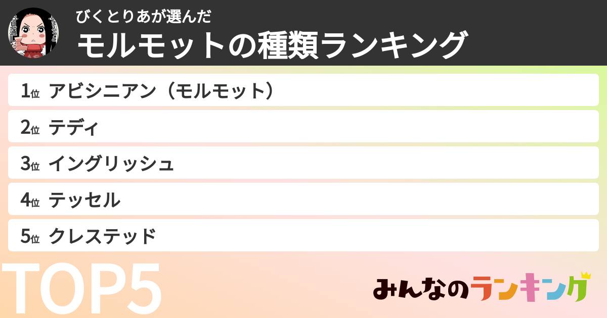 びくとりあさんの「モルモットの種類ランキング」