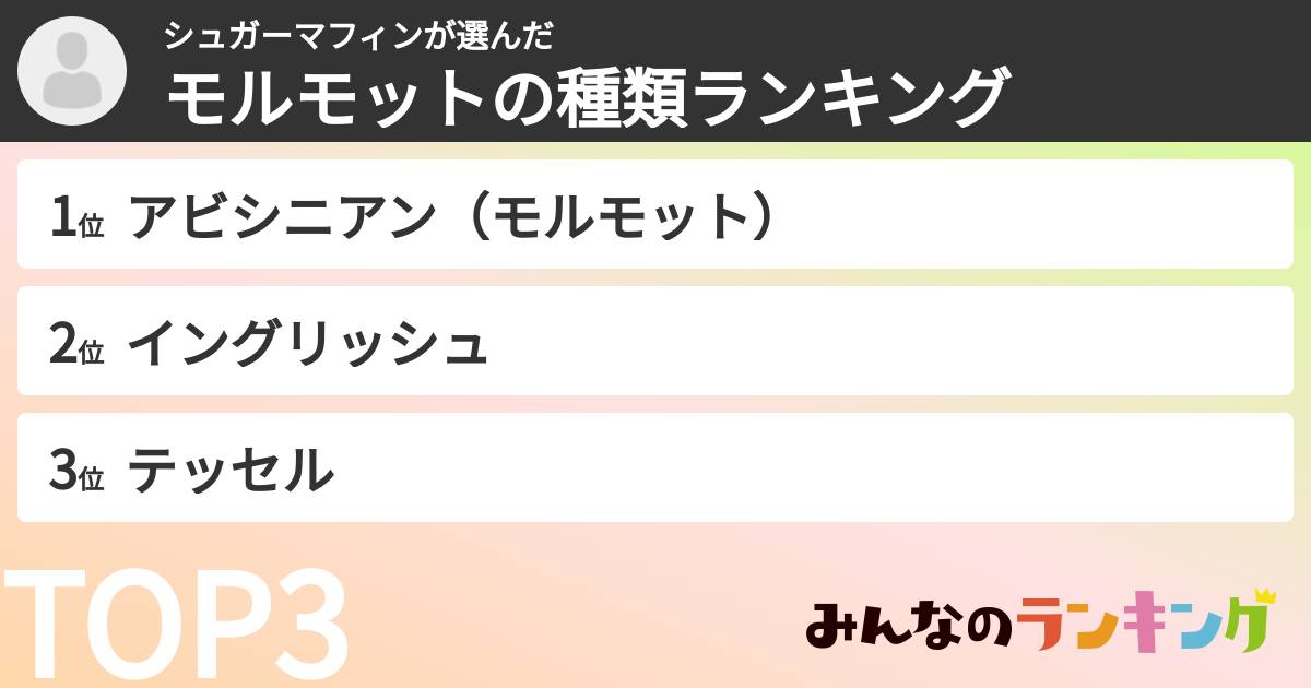 シュガーマフィンさんの「モルモットの種類ランキング」