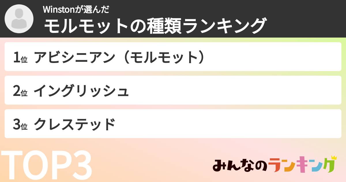 Winstonさんの「モルモットの種類ランキング」