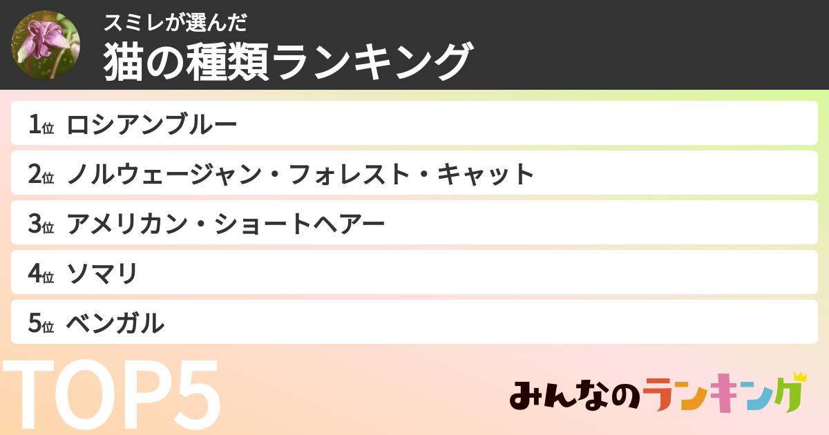 スミレさんの「猫の種類ランキング」