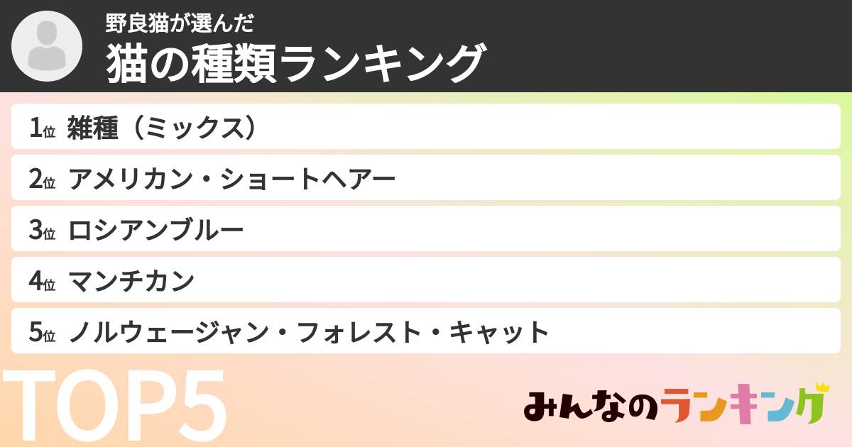 野良猫さんの「猫の種類ランキング」