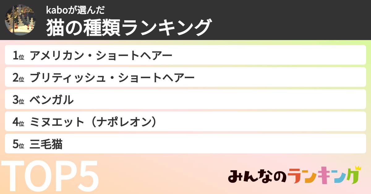kaboさんの「猫の種類ランキング」