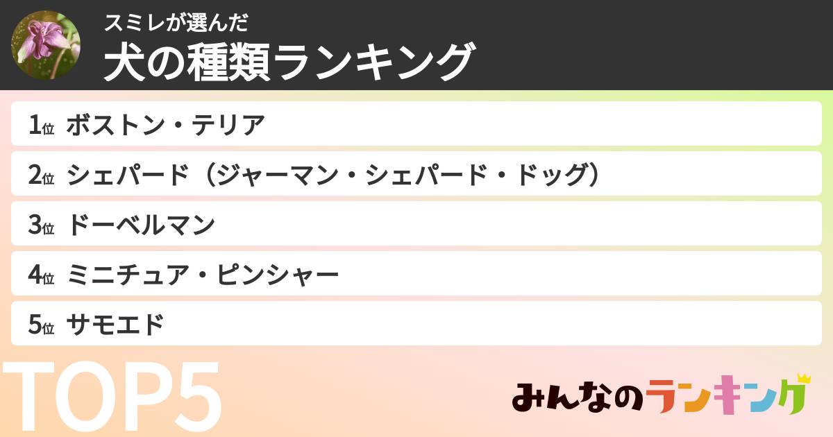 スミレさんの「犬の種類ランキング」