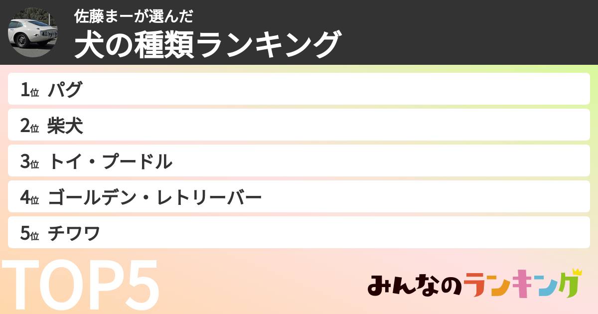 佐藤まーさんの「犬の種類ランキング」