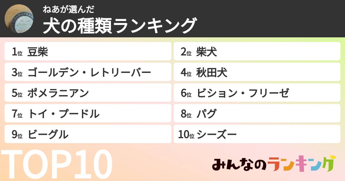 ねあさんの「犬の種類ランキング」