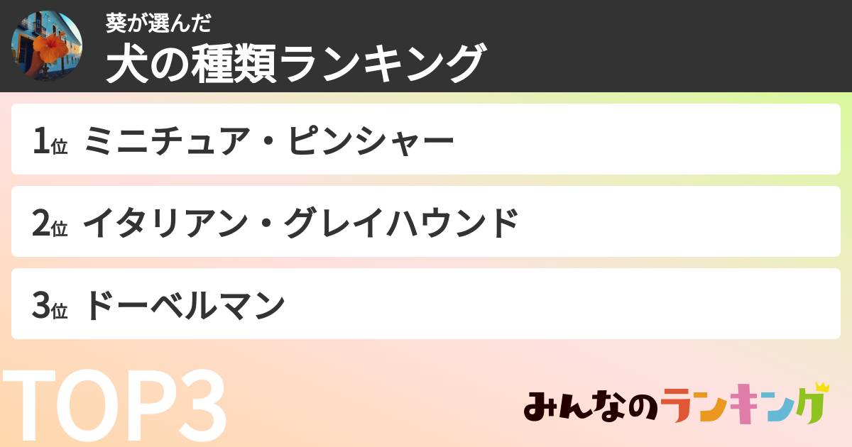 葵さんの「犬の種類ランキング」