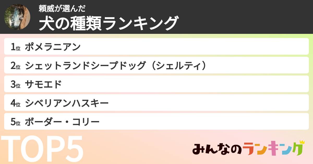 頼威さんの「犬の種類ランキング」