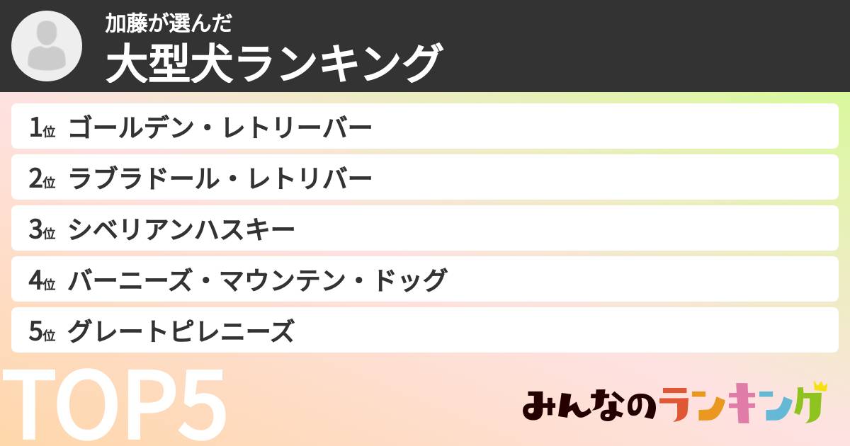 加藤さんの「大型犬ランキング」