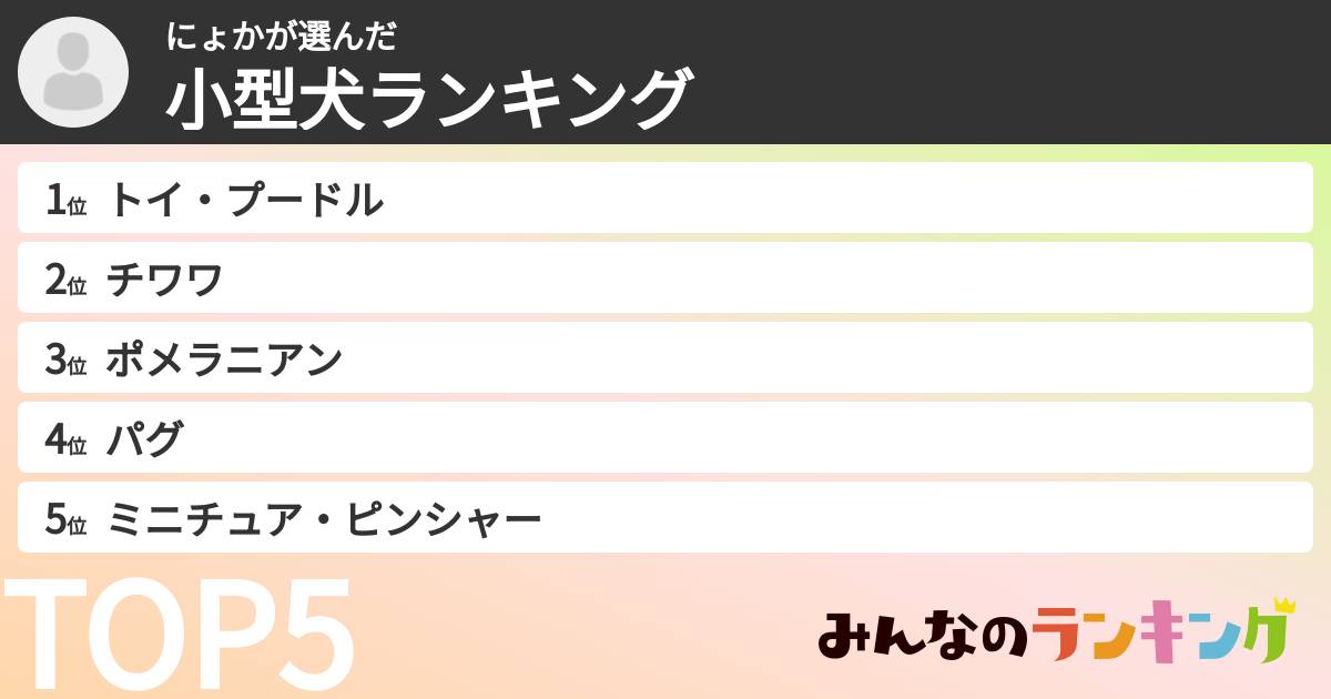 にょかさんの「小型犬ランキング」