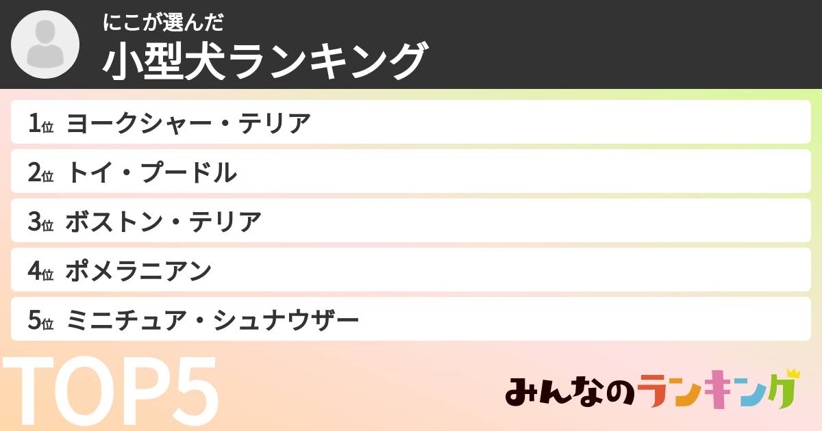 にこさんの「小型犬ランキング」