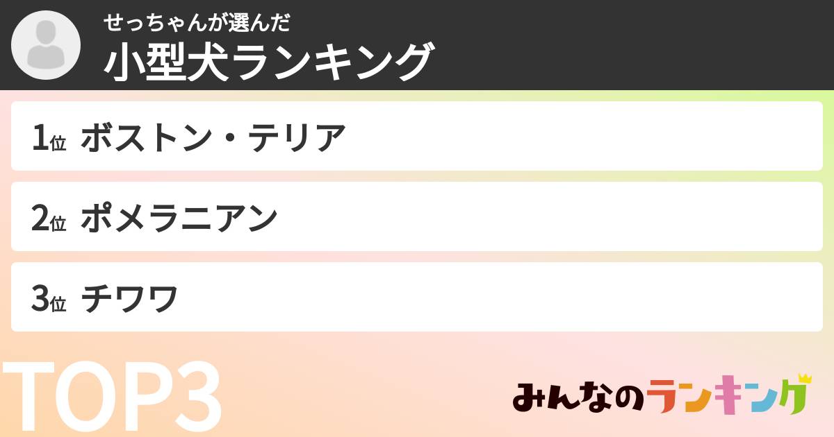 せっちゃんさんの「小型犬ランキング」
