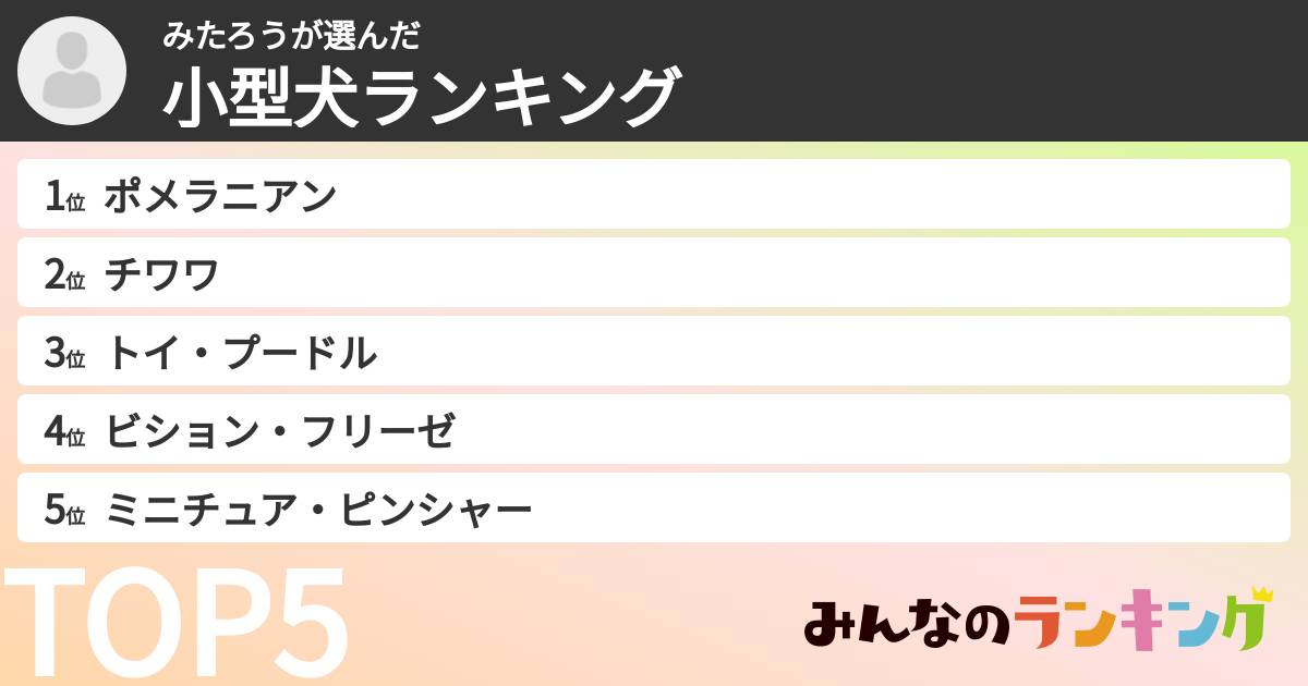 みたろうさんの「小型犬ランキング」