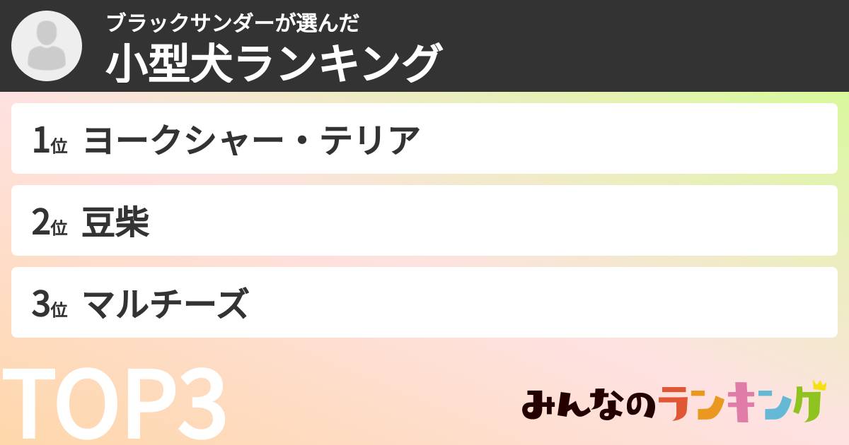 ブラックサンダーさんの「小型犬ランキング」