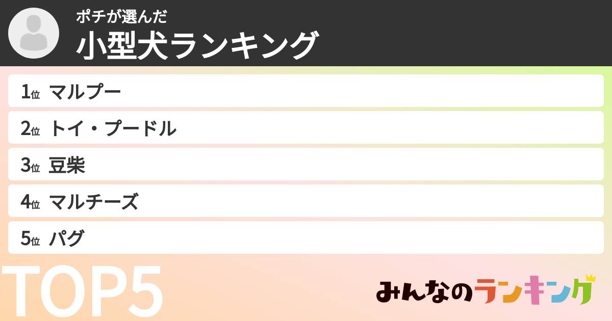 ポチさんの「小型犬ランキング」