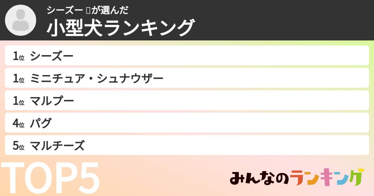 シーズー  🐩さんの「小型犬ランキング」