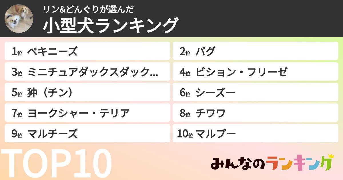 リン&どんぐりさんの「小型犬ランキング」