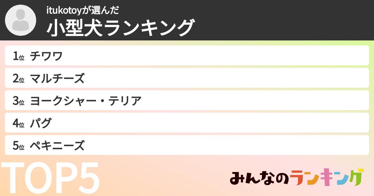 itukotoyさんの「小型犬ランキング」