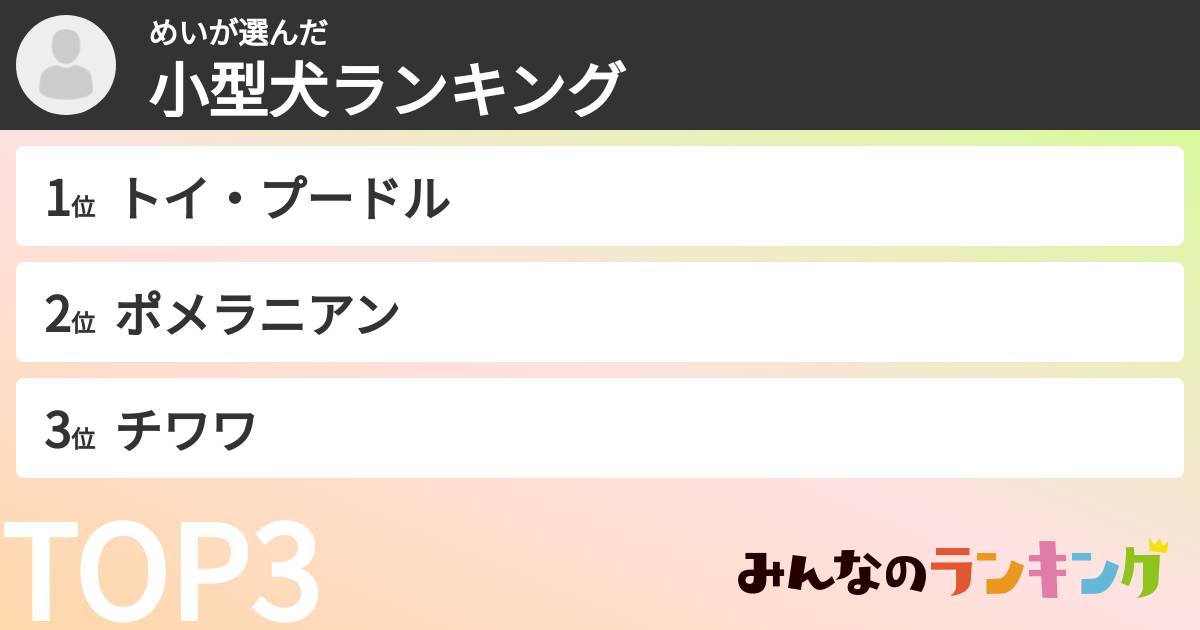 めいさんの「小型犬ランキング」