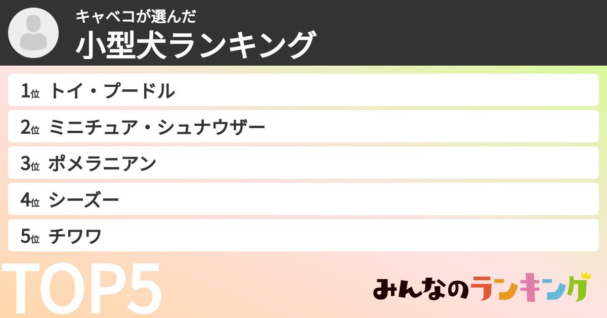 キャベコさんの「小型犬ランキング」