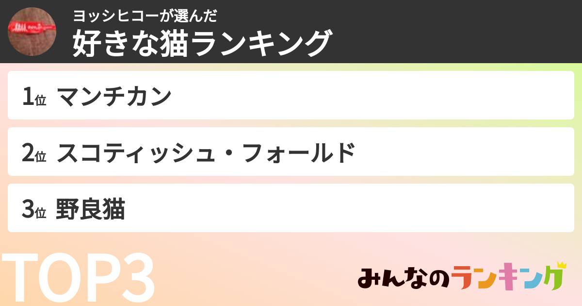 ヨッシヒコーさんの「好きな猫ランキング」