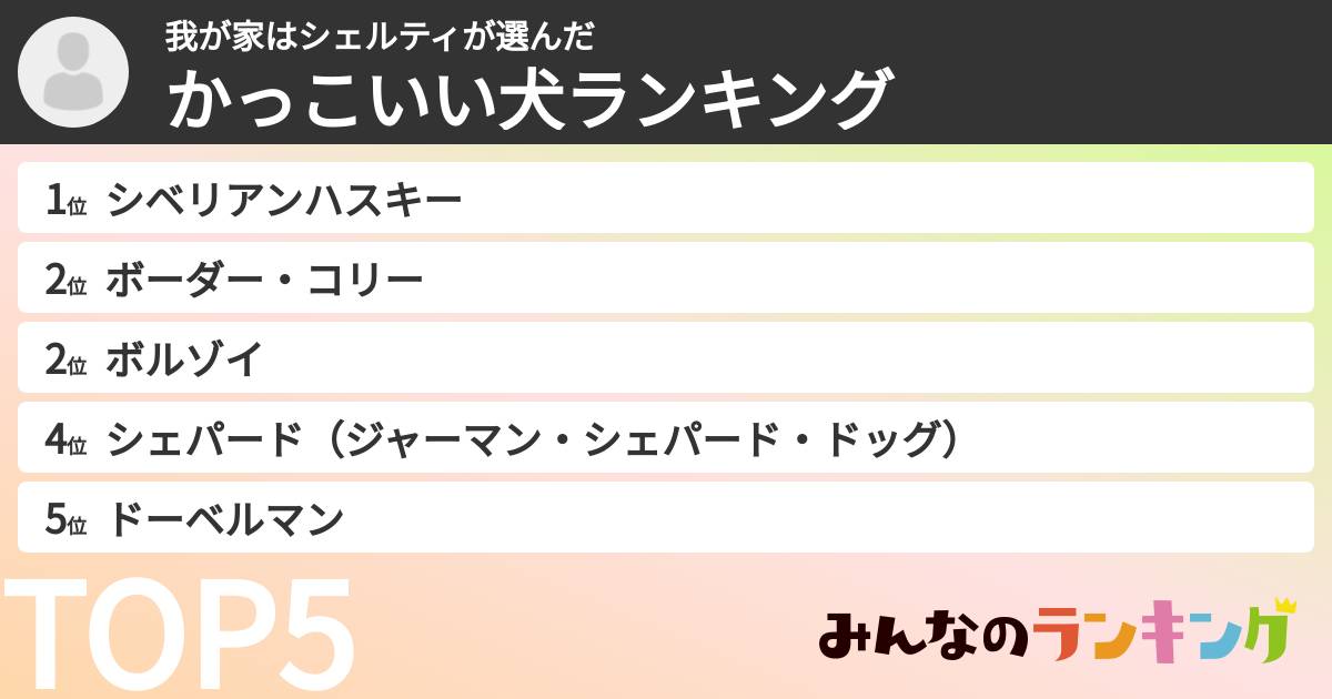 我が家はシェルティさんの「かっこいい犬ランキング」