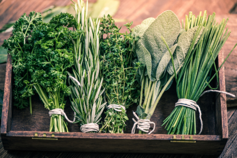 人気投票 1 18位 ハーブの種類人気ランキング みんながおすすめするハーブの種類は みんなのランキング