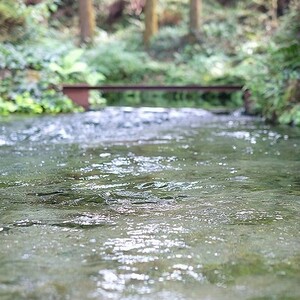 白川水源