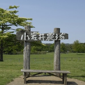 小岩井農場