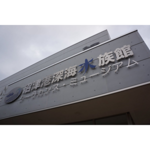 沼津港深海水族館
